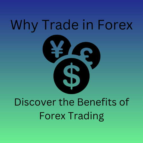 Why Trade in Forex