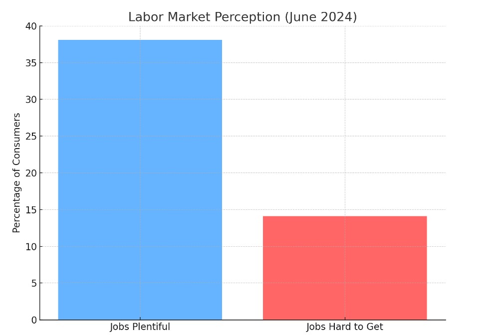 Labor Market Perception